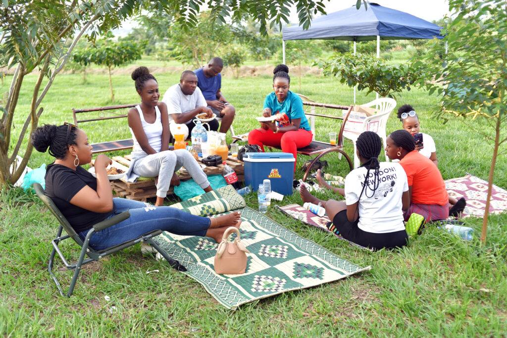 picnic